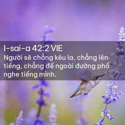 Picture 02 - I-sai-a 42:2 VIE - Người sẽ chẳng kêu la, chẳng lên - Bible Verse Picture
