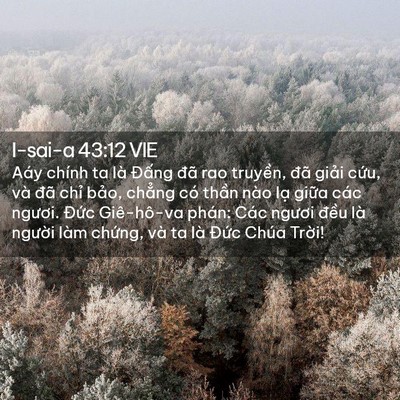Picture 02 - I-sai-a 43:12 VIE - Aáy chính ta là Đấng đã rao truyền, - Bible Verse Picture