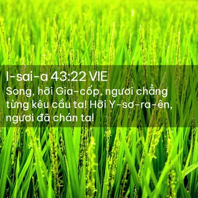 Picture 02 - I-sai-a 43:22 VIE - Song, hỡi Gia-cốp, ngươi chẳng từng - Bible Verse Picture