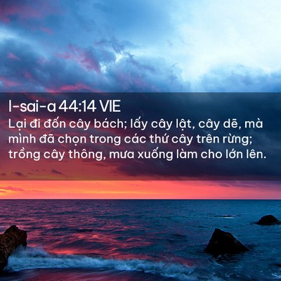 Picture 02 - I-sai-a 44:14 VIE - Lại đi đốn cây bách; lấy cây lật, - Bible Verse Picture