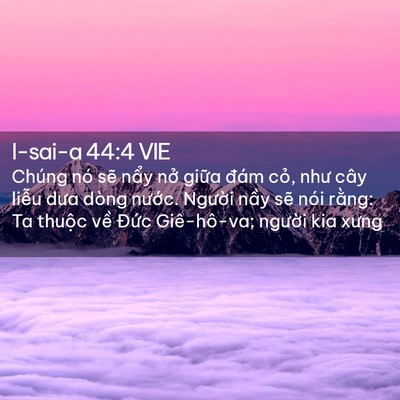 Picture 02 - I-sai-a 44:4 VIE - Chúng nó sẽ nẩy nở giữa đám cỏ, - Bible Verse Picture