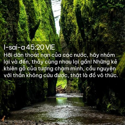 Picture 02 - I-sai-a 45:20 VIE - Hỡi dân thoát nạn của các nước, hãy - Bible Verse Picture