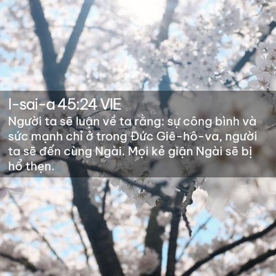Picture 02 - I-sai-a 45:24 VIE - Người ta sẽ luận về ta rằng: sự - Bible Verse Picture