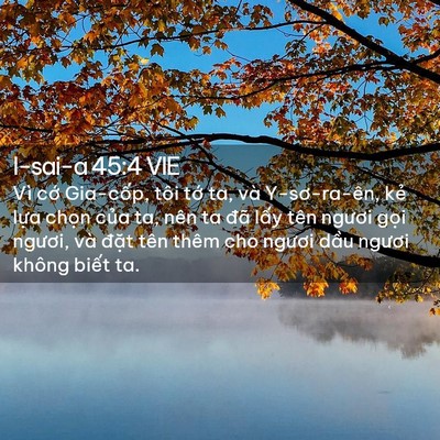 Picture 02 - I-sai-a 45:4 VIE - Vì cớ Gia-cốp, tôi tớ ta, và - Bible Verse Picture