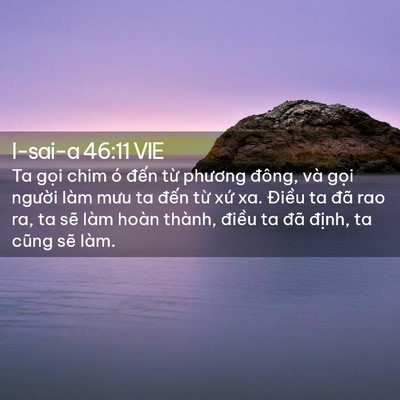 Picture 02 - I-sai-a 46:11 VIE - Ta gọi chim ó đến từ phương đông, và - Bible Verse Picture