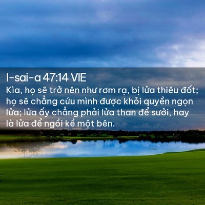 Picture 02 - I-sai-a 47:14 VIE - Kìa, họ sẽ trở nên như rơm rạ, bị - Bible Verse Picture