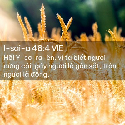 Picture 02 - I-sai-a 48:4 VIE - Hỡi Y-sơ-ra-ên, vì ta biết ngươi cứng - Bible Verse Picture