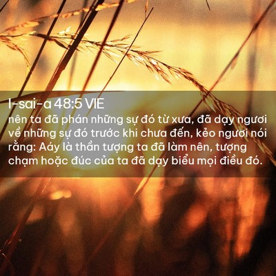 Picture 02 - I-sai-a 48:5 VIE - nên ta đã phán những sự đó từ xưa, - Bible Verse Picture