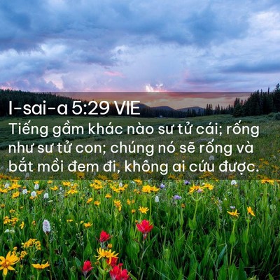 Picture 02 - I-sai-a 5:29 VIE - Tiếng gầm khác nào sư tử cái; rống - Bible Verse Picture