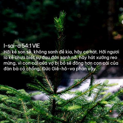 Picture 02 - I-sai-a 54:1 VIE - Hỡi kẻ son sẻ, không sanh đẻ kia, hãy - Bible Verse Picture