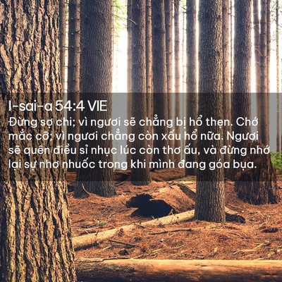 Picture 02 - I-sai-a 54:4 VIE - Đừng sợ chi; vì ngươi sẽ chẳng bị - Bible Verse Picture