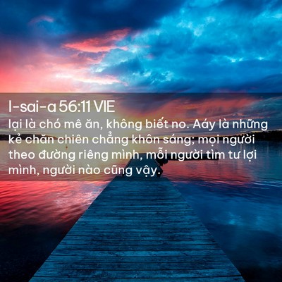 Picture 02 - I-sai-a 56:11 VIE - lại là chó mê ăn, không biết no. Aáy - Bible Verse Picture