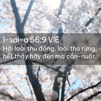 Picture 02 - I-sai-a 56:9 VIE - Hỡi loài thú đồng, loài thú rừng, - Bible Verse Picture