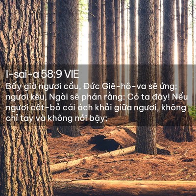 Picture 02 - I-sai-a 58:9 VIE - Bấy giờ ngươi cầu, Đức Giê-hô-va - Bible Verse Picture