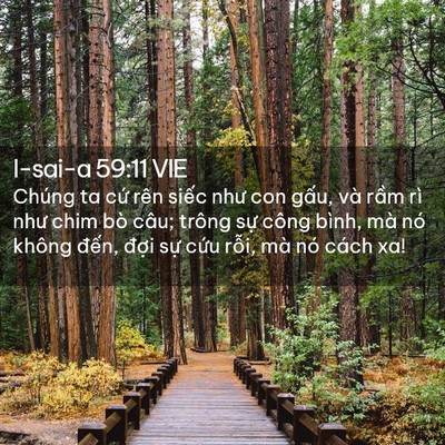 Picture 02 - I-sai-a 59:11 VIE - Chúng ta cứ rên siếc như con gấu, và - Bible Verse Picture