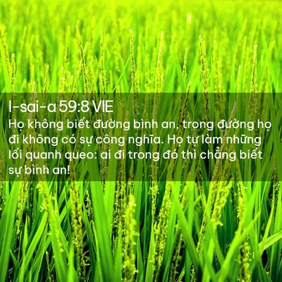 Picture 02 - I-sai-a 59:8 VIE - Họ không biết đường bình an, trong - Bible Verse Picture