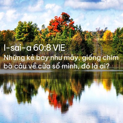 Picture 02 - I-sai-a 60:8 VIE - Những kẻ bay như mây, giống chim bò câu - Bible Verse Picture
