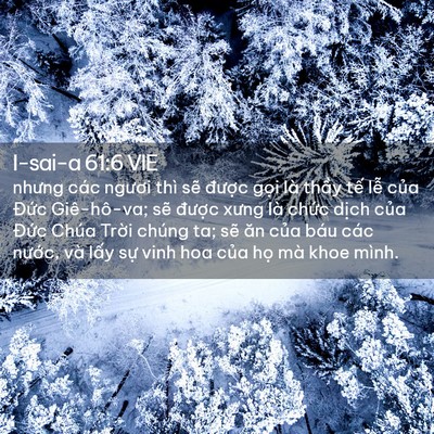 Picture 02 - I-sai-a 61:6 VIE - nhưng các ngươi thì sẽ được gọi là - Bible Verse Picture