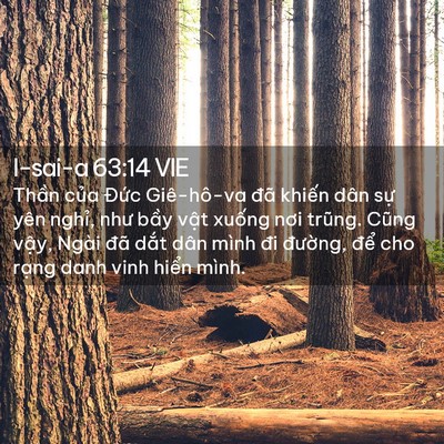 Picture 02 - I-sai-a 63:14 VIE - Thần của Đức Giê-hô-va đã khiến dân - Bible Verse Picture