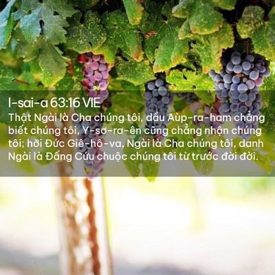 Picture 02 - I-sai-a 63:16 VIE - Thật Ngài là Cha chúng tôi, dầu - Bible Verse Picture