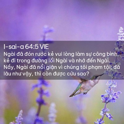 Picture 02 - I-sai-a 64:5 VIE - Ngài đã đón rước kẻ vui lòng làm sự - Bible Verse Picture