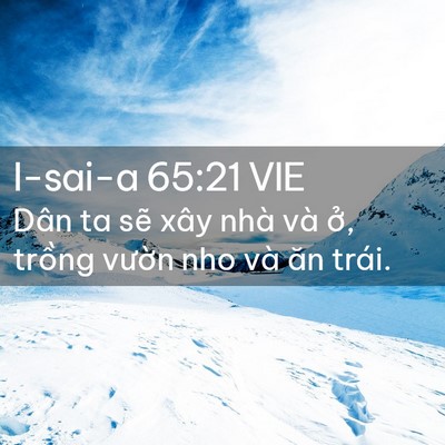 Picture 02 - I-sai-a 65:21 VIE - Dân ta sẽ xây nhà và ở, trồng vườn - Bible Verse Picture