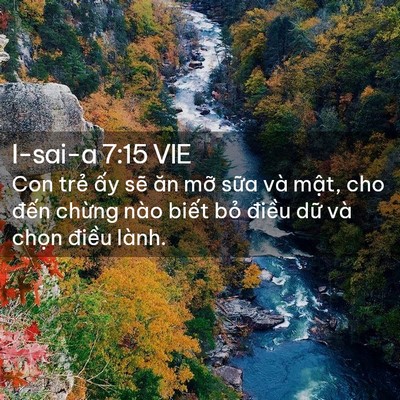Picture 02 - I-sai-a 7:15 VIE - Con trẻ ấy sẽ ăn mỡ sữa và mật, cho - Bible Verse Picture