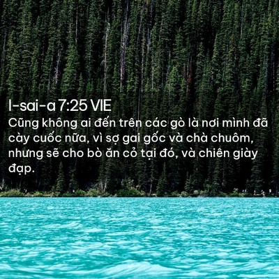 Picture 02 - I-sai-a 7:25 VIE - Cũng không ai đến trên các gò là nơi - Bible Verse Picture
