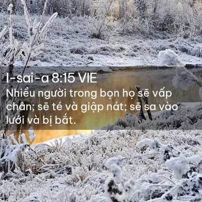Picture 02 - I-sai-a 8:15 VIE - Nhiều người trong bọn họ sẽ vấp - Bible Verse Picture
