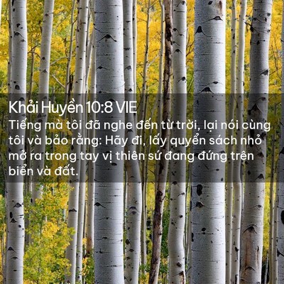 Picture 02 - Khải Huyền 10:8 VIE - Tiếng mà tôi đã nghe đến từ trời, - Bible Verse Picture