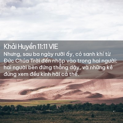 Picture 02 - Khải Huyền 11:11 VIE - Nhưng, sau ba ngày rưỡi ấy, có sanh khí - Bible Verse Picture
