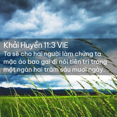 Picture 02 - Khải Huyền 11:3 VIE - Ta sẽ cho hai người làm chứng ta mặc - Bible Verse Picture