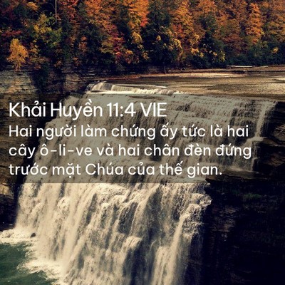 Picture 02 - Khải Huyền 11:4 VIE - Hai người làm chứng ấy tức là hai cây - Bible Verse Picture