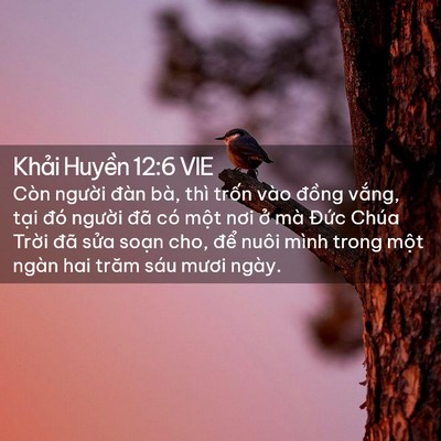 Picture 02 - Khải Huyền 12:6 VIE - Còn người đàn bà, thì trốn vào đồng - Bible Verse Picture