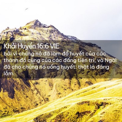 Picture 02 - Khải Huyền 16:6 VIE - bởi vì chúng nó đã làm đổ huyết - Bible Verse Picture