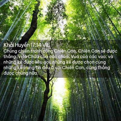 Picture 02 - Khải Huyền 17:14 VIE - Chúng chiến tranh cùng Chiên Con, Chiên Con - Bible Verse Picture
