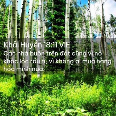 Picture 02 - Khải Huyền 18:11 VIE - Các nhà buôn trên đất cũng vì nó khóc - Bible Verse Picture