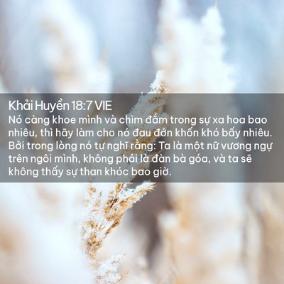 Picture 02 - Khải Huyền 18:7 VIE - Nó càng khoe mình và chìm đắm trong sự - Bible Verse Picture