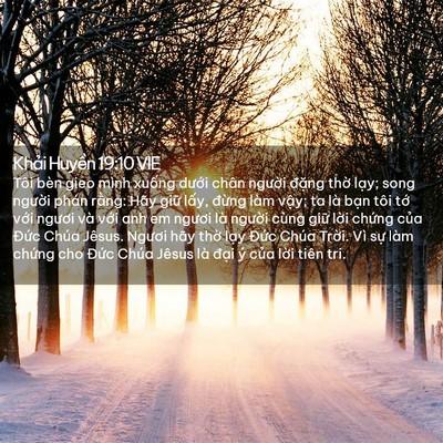 Picture 02 - Khải Huyền 19:10 VIE - Tôi bèn gieo mình xuống dưới chân - Bible Verse Picture