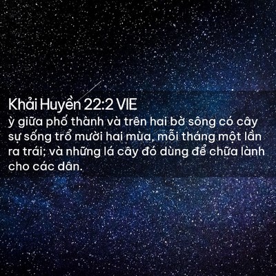 Picture 02 - Khải Huyền 22:2 VIE - ỳ giữa phố thành và trên hai bờ sông - Bible Verse Picture