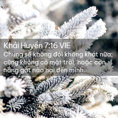 Picture 02 - Khải Huyền 7:16 VIE - Chúng sẽ không đói không khát nữa; - Bible Verse Picture
