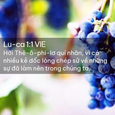 Picture 02 - Lu-ca 1:1 VIE - Hỡi Thê-ô-phi-lơ quí nhân, vì có nhiều - Bible Verse Picture