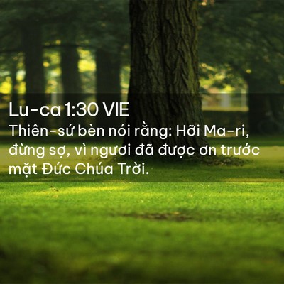 Picture 02 - Lu-ca 1:30 VIE - Thiên-sứ bèn nói rằng: Hỡi Ma-ri, - Bible Verse Picture