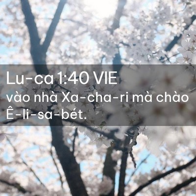 Picture 02 - Lu-ca 1:40 VIE - vào nhà Xa-cha-ri mà chào - Bible Verse Picture