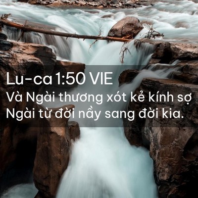 Picture 02 - Lu-ca 1:50 VIE - Và Ngài thương xót kẻ kính sợ Ngài - Bible Verse Picture