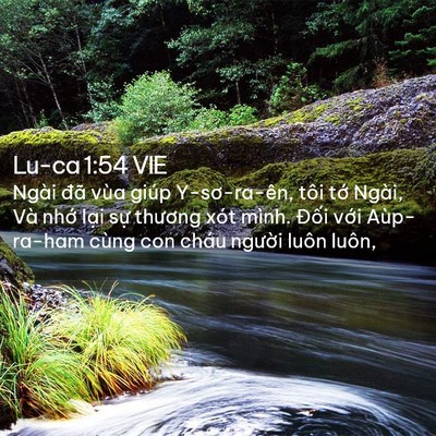Picture 02 - Lu-ca 1:54 VIE - Ngài đã vùa giúp Y-sơ-ra-ên, tôi tớ - Bible Verse Picture