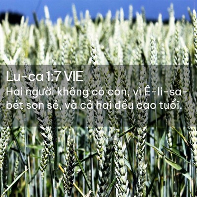 Picture 02 - Lu-ca 1:7 VIE - Hai người không có con, vì Ê-li-sa-bét - Bible Verse Picture