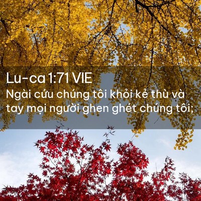 Picture 02 - Lu-ca 1:71 VIE - Ngài cứu chúng tôi khỏi kẻ thù và tay - Bible Verse Picture