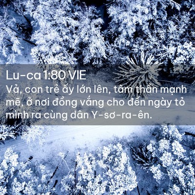 Picture 02 - Lu-ca 1:80 VIE - Vả, con trẻ ấy lớn lên, tâm thần - Bible Verse Picture