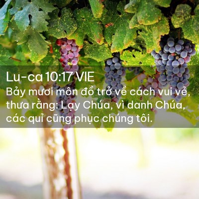 Picture 02 - Lu-ca 10:17 VIE - Bảy mươi môn đồ trở về cách vui - Bible Verse Picture